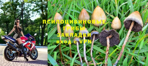 амф Абдулино