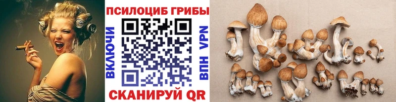 hydra зеркало Елизаветинская Псилоцибиновые грибы Magic Shrooms